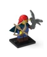 col24-5 - Falconer, Series 24 (Complete Set with Stand and Accessories)