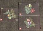 10309-1 - Succulents