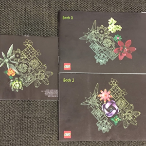 10309-1 - Succulents