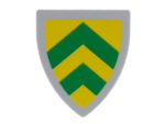 3846pb059 - Minifigure, Shield Triangular  with Green Chevrons on Yellow Background Pattern