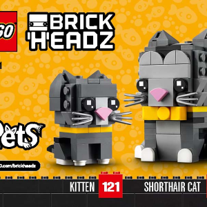 40441-1 - Shorthair Cat & Kitten
