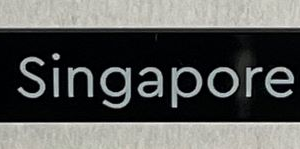 4162pb254 - Tile 1 x 8 with 'Singapore' Pattern
