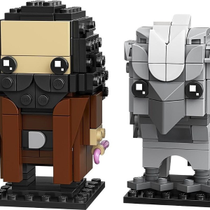 40412-1 - Hagrid & Buckbeak