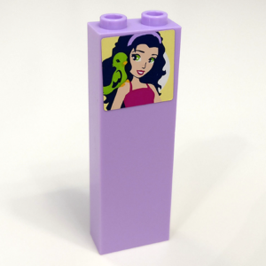 2454pb127 - Brick 1 x 2 x 5 with Girl and Lime Parrot Pattern (Sticker) - Set 41095
