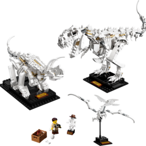 21320-1 - Dinosaur Fossils