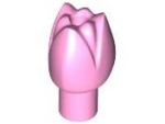 5903 - Plant Flower Tulip with Bar and Small Pin Hole