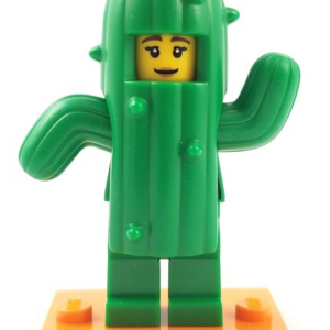 col18-11 - Cactus Girl, Series 18 (Complete Set with Stand and Accessories)