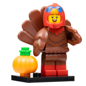 col23-9 - Turkey Costume, Series 23 (Complete Set with Stand and Accessories)